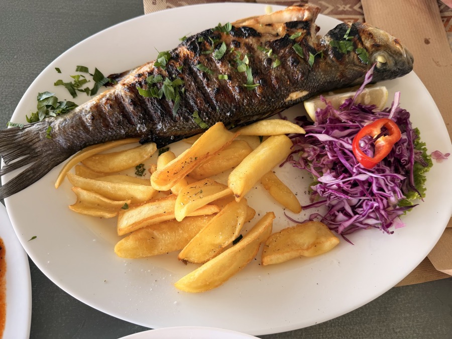 Grilled Fresh Fish
